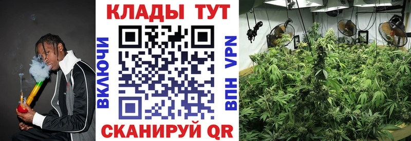 Купить закладку Гашиш  Alpha-PVP  Мефедрон  Чкаловск